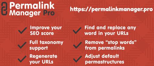 Permalink Manager Pro v2.4.3.3 - WordPress Plugin