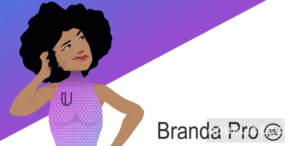 Branda Pro v3.4.16 - WordPress white label branding