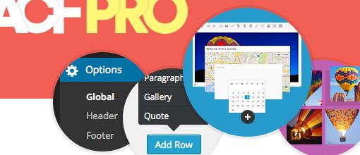 Advanced Custom Fields Pro v6.2.8