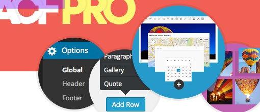 Advanced Custom Fields Pro v6.3.1.2 