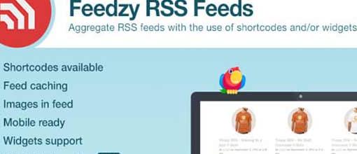 Feedzy v2.4.6 - RSS Feeds Premium WordPress Plugin