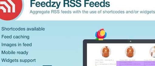 Feedzy v2.4.6 - RSS Feeds Premium WordPress Plugin 