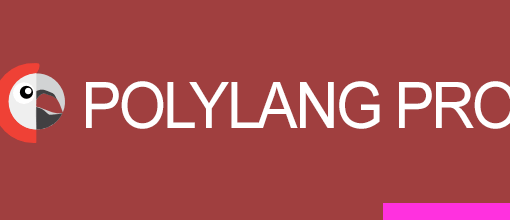 Polylang Pro v3.6.2 - Multilingual Plugin 