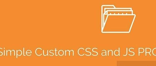 Simple Custom CSS and JS PRO v4.36