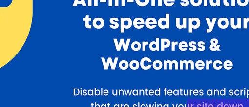 Disable Bloat for WordPress & WooCommerce PRO v3.4.4 