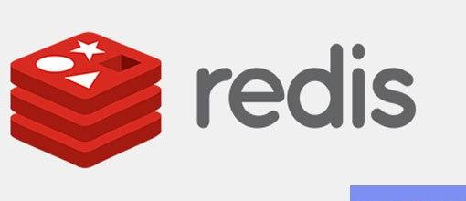 Redis Cache Pro v1.21.0